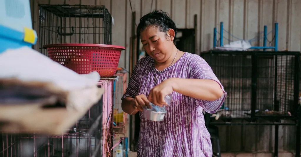 Seorang perempuan memberi makan hewan di tempat penampungan dalam ruangan dengan beberapa kandang di sekitarnya.