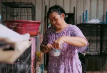 Seorang perempuan memberi makan hewan di tempat penampungan dalam ruangan dengan beberapa kandang di sekitarnya.