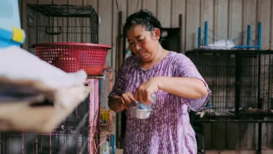 Seorang perempuan memberi makan hewan di tempat penampungan dalam ruangan dengan beberapa kandang di sekitarnya.