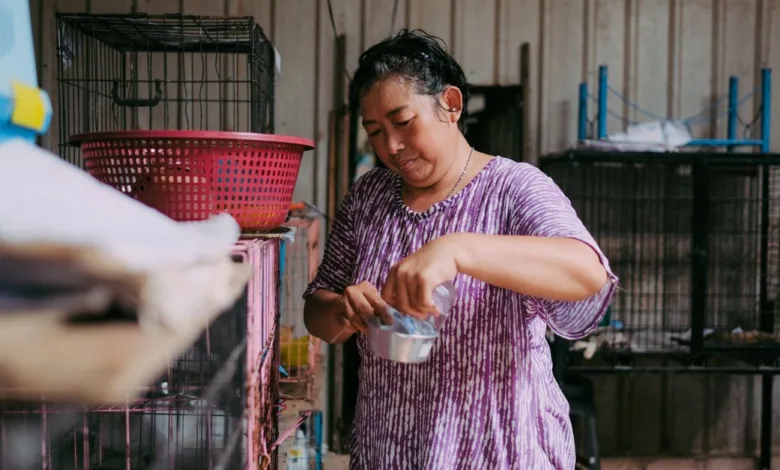 Seorang perempuan memberi makan hewan di tempat penampungan dalam ruangan dengan beberapa kandang di sekitarnya.