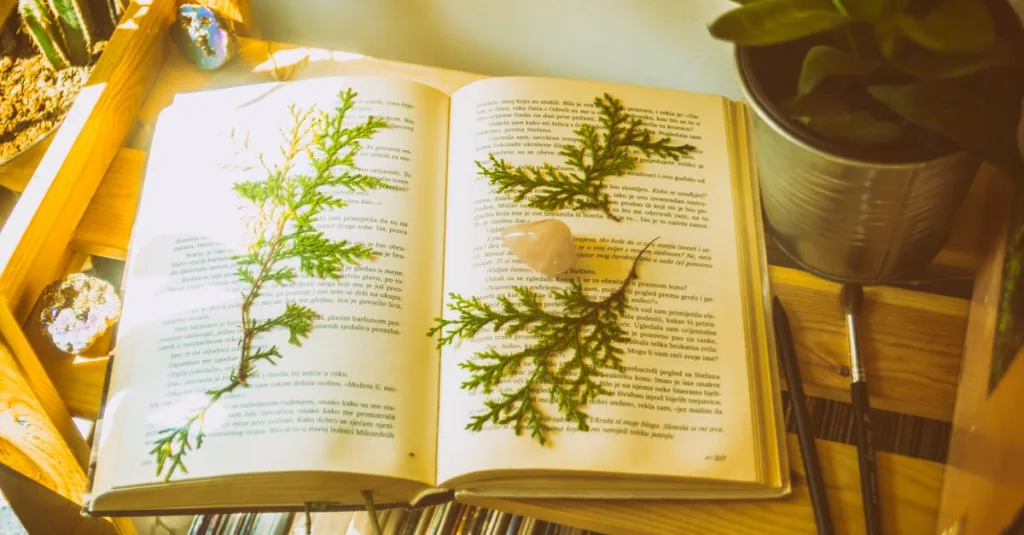 Sebuah buku terbuka dengan paku-paku yang dipres dan kristal di atas rak kayu yang cerah dengan tanaman.