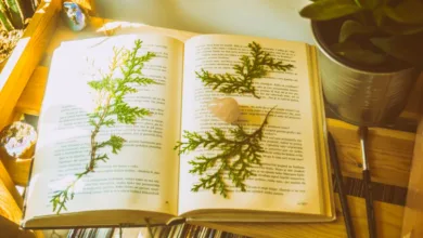 Sebuah buku terbuka dengan paku-paku yang dipres dan kristal di atas rak kayu yang cerah dengan tanaman.