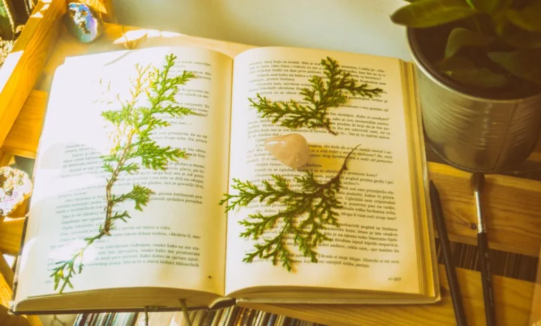 Sebuah buku terbuka dengan paku-paku yang dipres dan kristal di atas rak kayu yang cerah dengan tanaman.