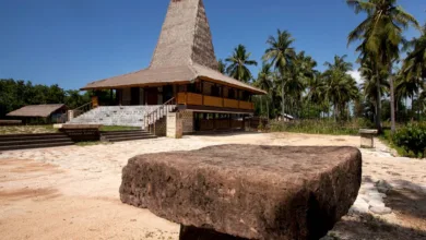 Jelajahi rumah tradisional Sumbawa yang dikelilingi pohon palem rimbun di bawah langit biru cerah.